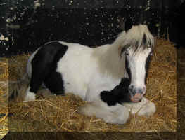 that's it - you've ruined my beauty sleep!