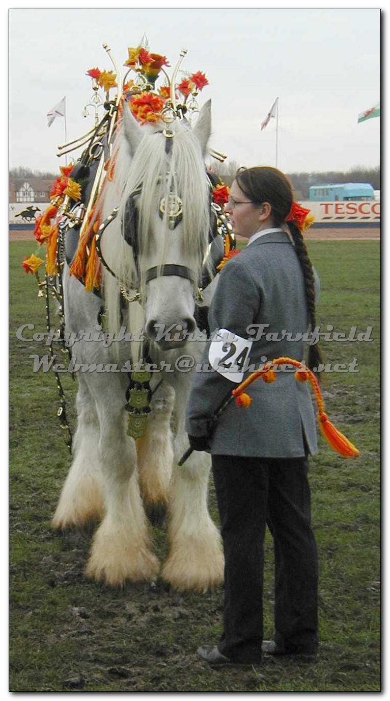 Peterborough National Shire Horse Show 2002