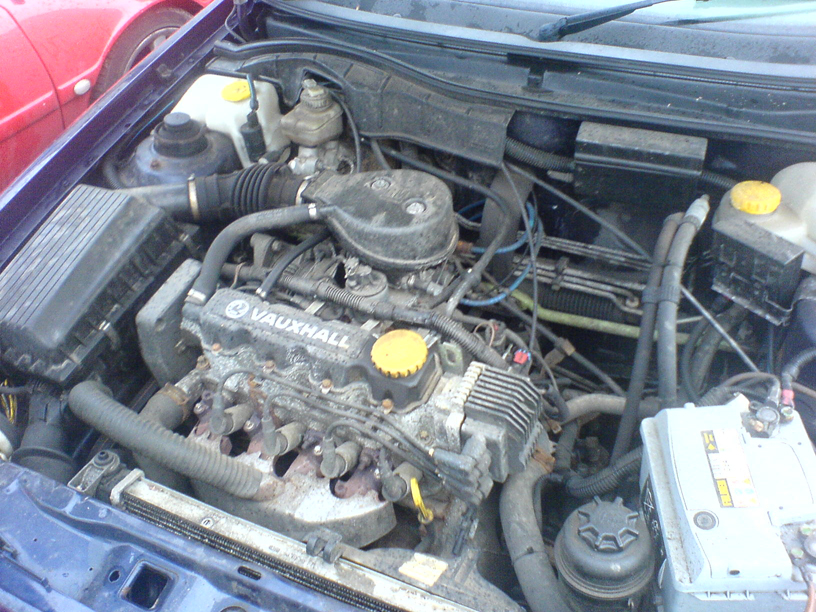 specblue01.JPG