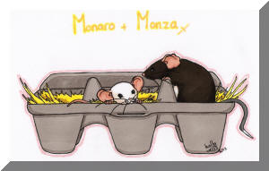 Monaro and Monza by Holly Wells of Sweet Rattery Illustrations