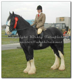 click here for ridden classes